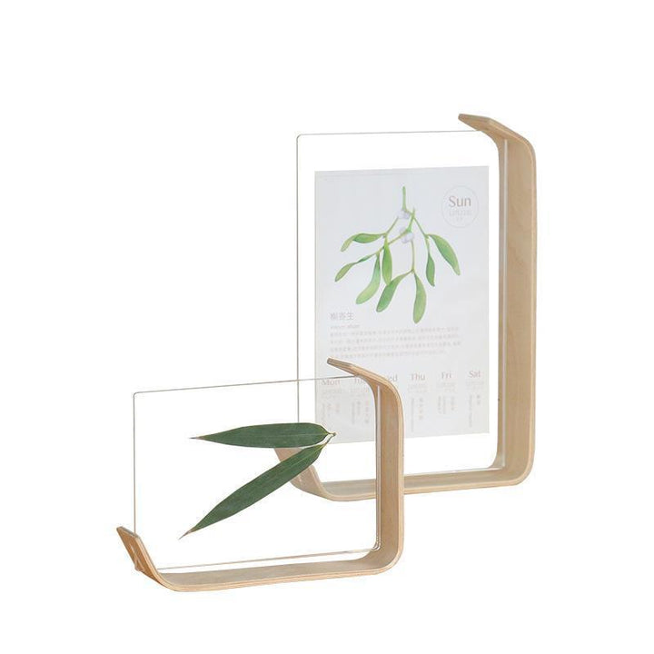 Two clear glass shelves with wooden frames holding green leaves on a white background