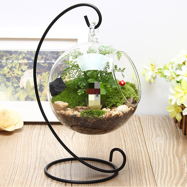 Creative Hanging Iron Frame Glass Vase showing use as a terrarium | Confetti Living