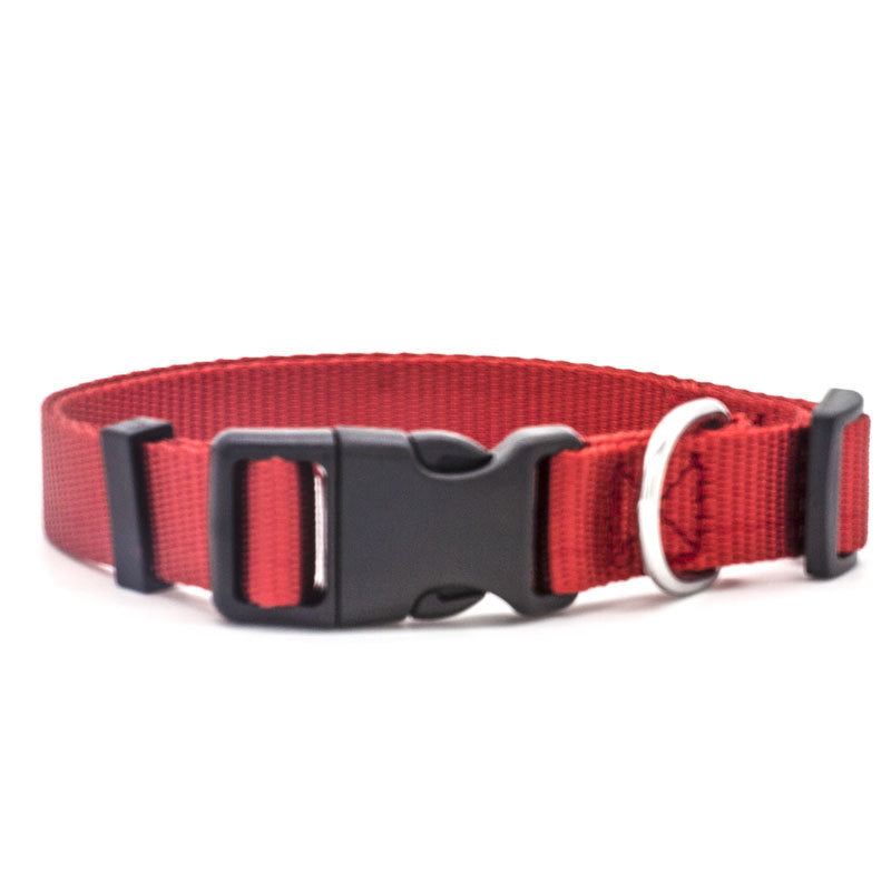 Colourful Pet Collar in Red | Confetti Living
