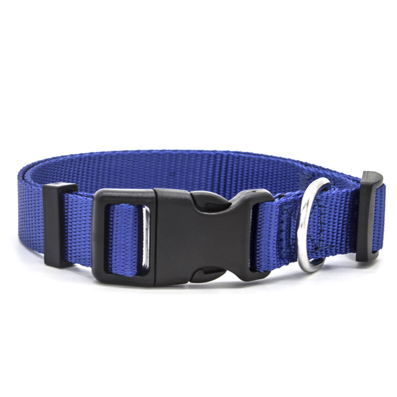 Colourful Pet Collar in Blue | Confetti Living