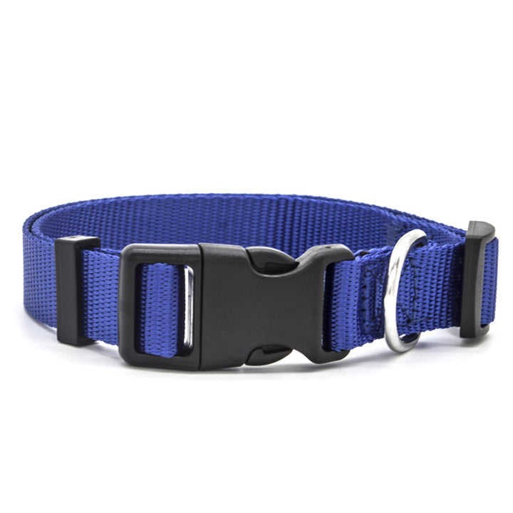 Colourful Pet Collar in Blue | Confetti Living