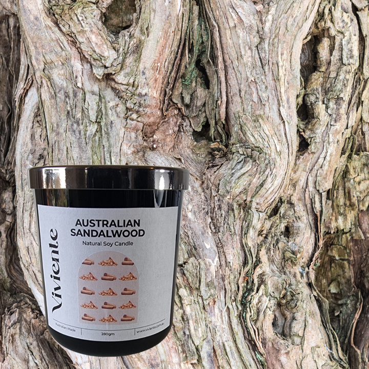 Viviente Natural Soy Candle Australian Sandalwood | Confetti Living