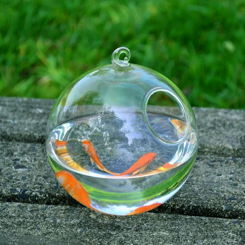 Hanging Glass Vase Fish Tank shown with glass ball only | Confetti Living