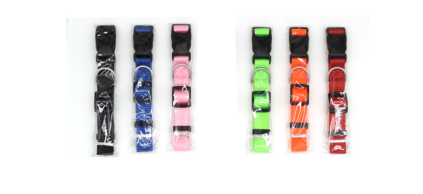 Colourful Pet Collar | Confetti Living