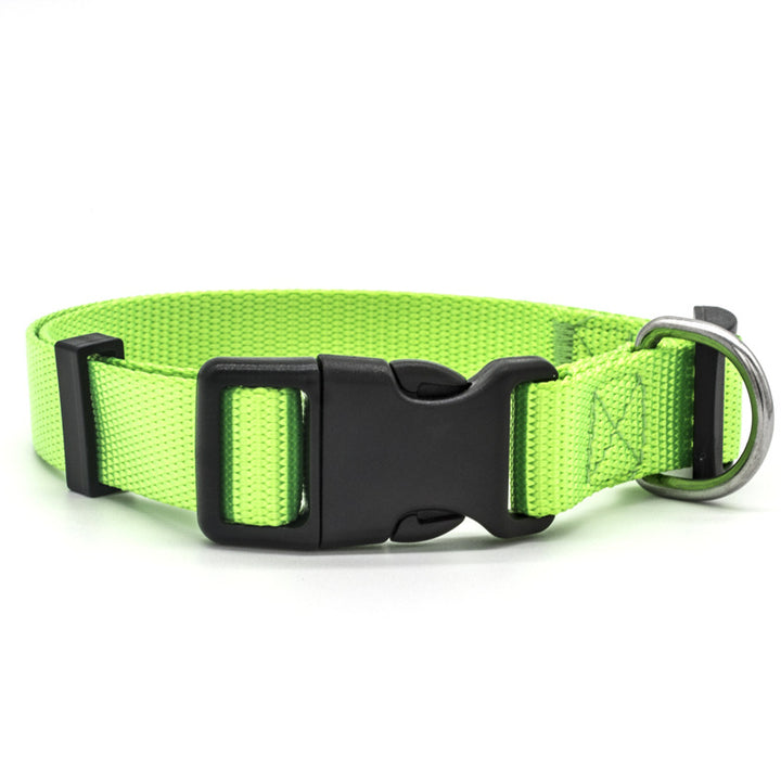 Colourful Pet Collar