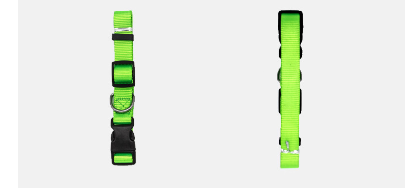 Colourful Pet Collar in Green | Confetti Living