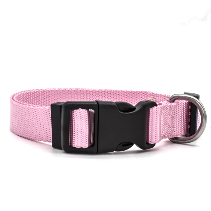 Colourful Pet Collar