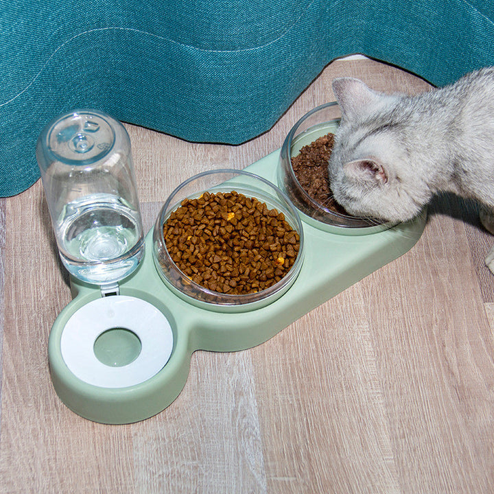 Automatic Pet Feeder Dog and Cat Food Bowl With Water Fountain