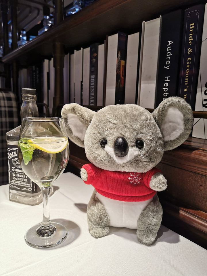 Koala PlushToy