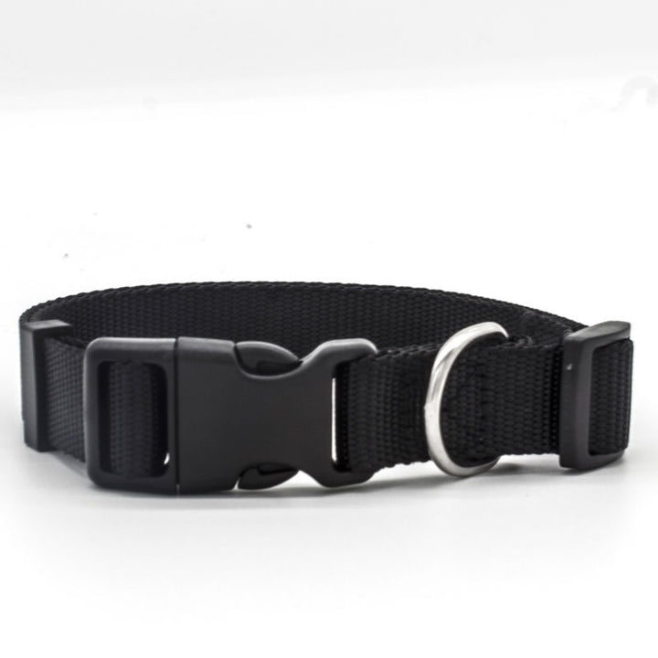 Colourful Pet Collar in Black | Confetti Living