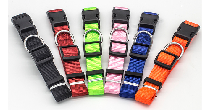 Colourful Pet Collar | Confetti Living