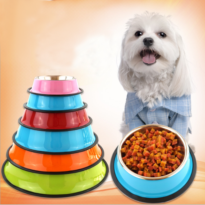 Colourful Magic Pet Feeding Bowls | Confetti Living