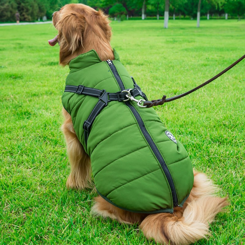 Dog Clothes Integrated Zip-up Cotton Coat in Army Green | Confetti Living