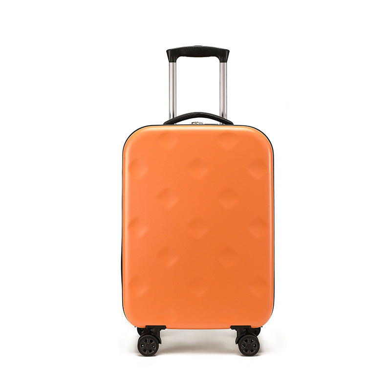 Folding Travel Luggage | Confetti Living