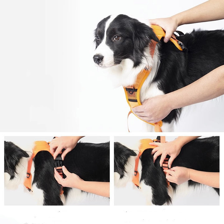 Dog Collar Adjustable Harness | Confetti Living