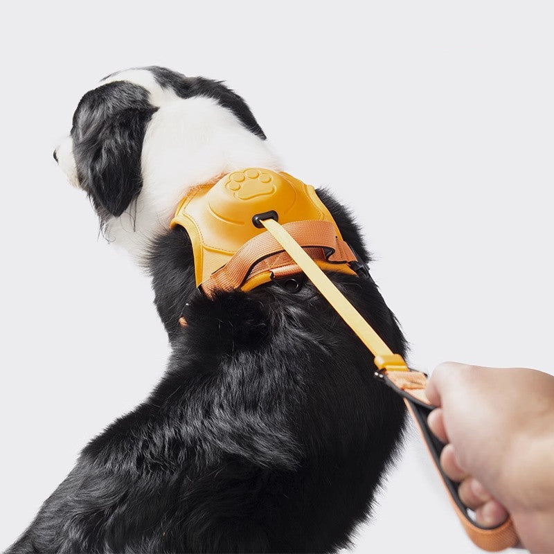 Dog Collar Adjustable Harness | Confetti Living